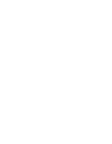 Diler Group